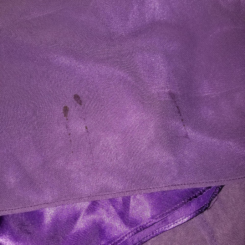 Prom Bridesmaids Mardis Gras dress - Picture 6 of 6